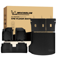 Michelin protection floor mats and trunk mat.