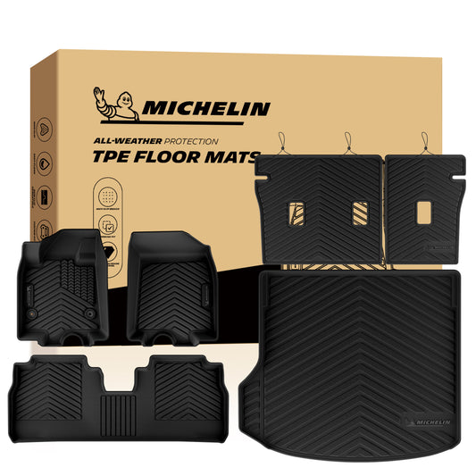 Michelin protection floor mats and trunk mat.