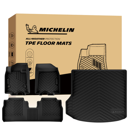 Michelin protection floor mats and trunk mat.